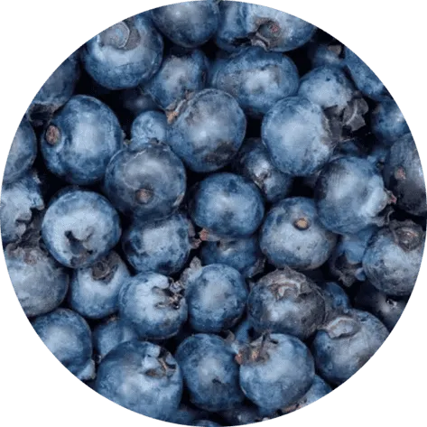 Visium Max blueberry extract